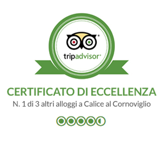 Certificat of excellence TripAdvisor